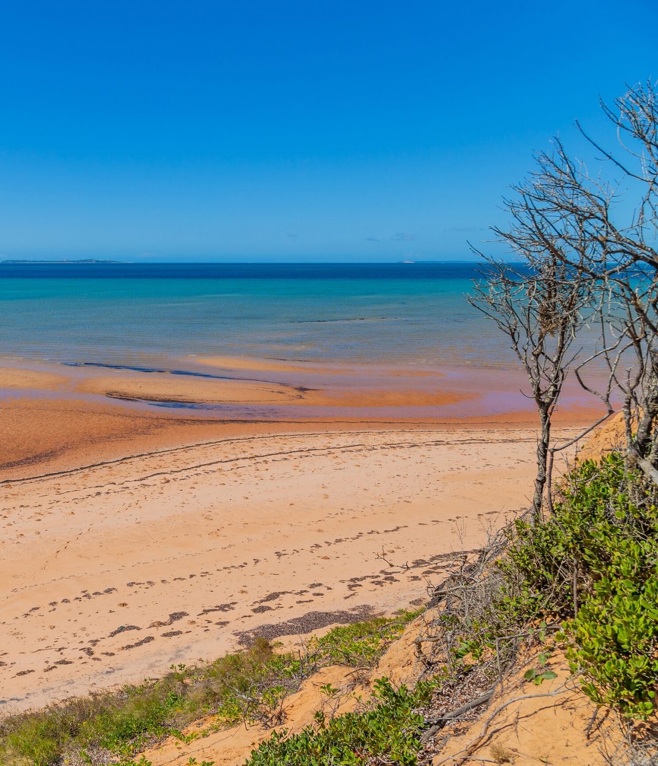 View over a deserted beach in Maputo with some trees and the blue sea in the background