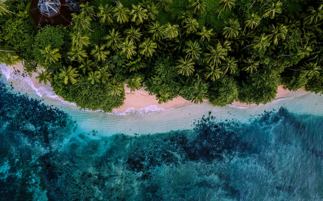 Explore Hotels in São Tomé with an aerial view of palm trees lining a white sand beach and turquoise water