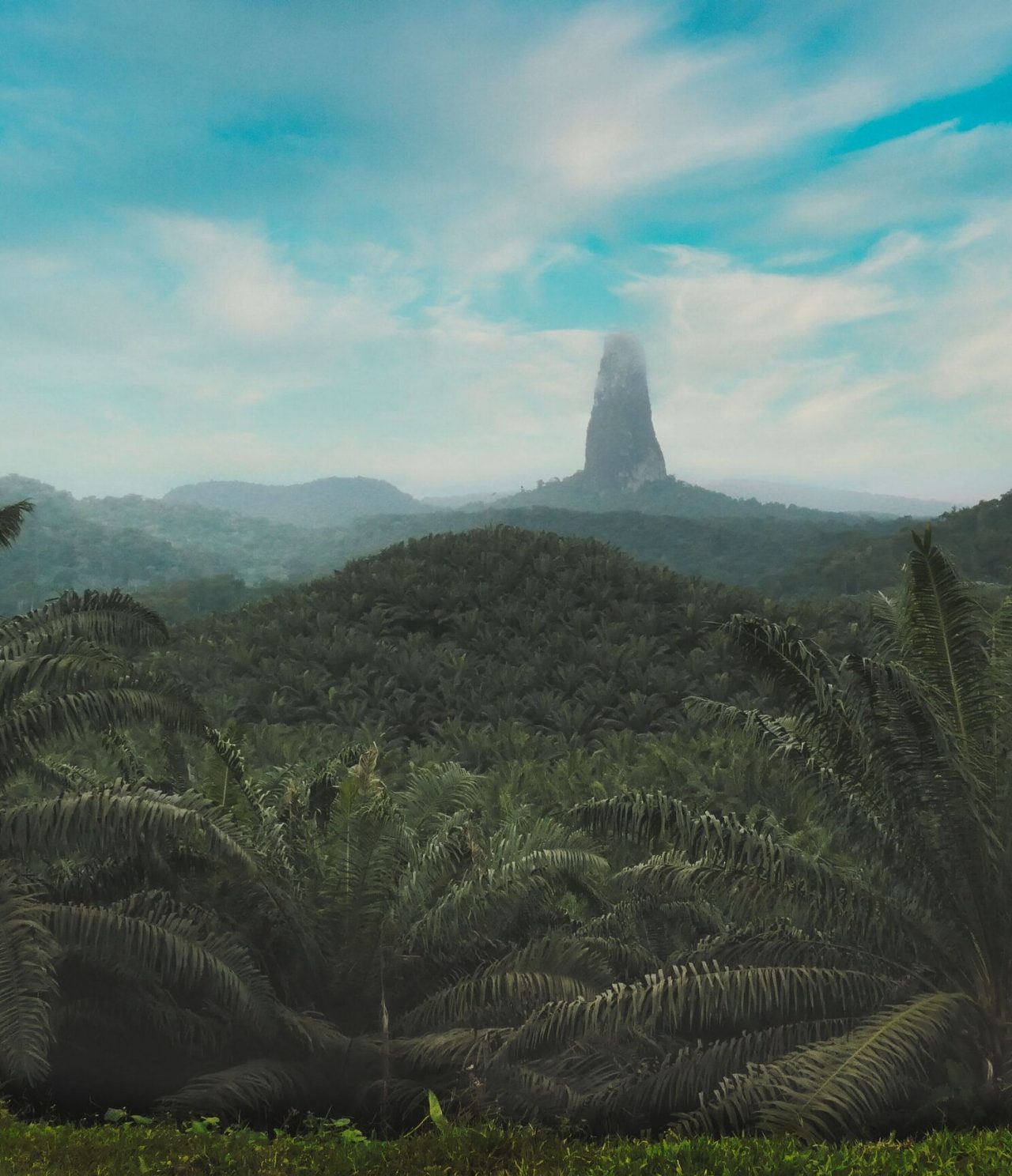 View of a forest on the island of São Tomé and Príncipe, with some fog in the background and a blue sky