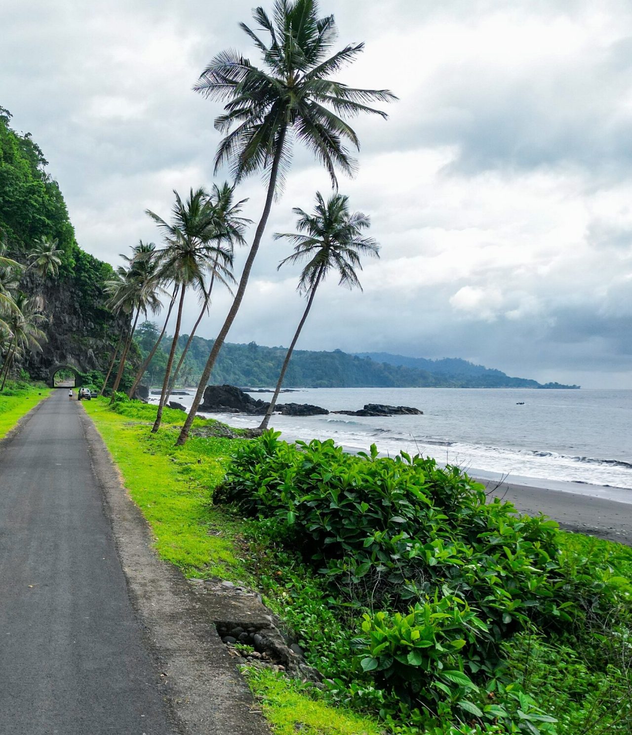 Discover Hotels in São Tomé featuring a coastal road with tall palm trees beside a cloudy ocean bay