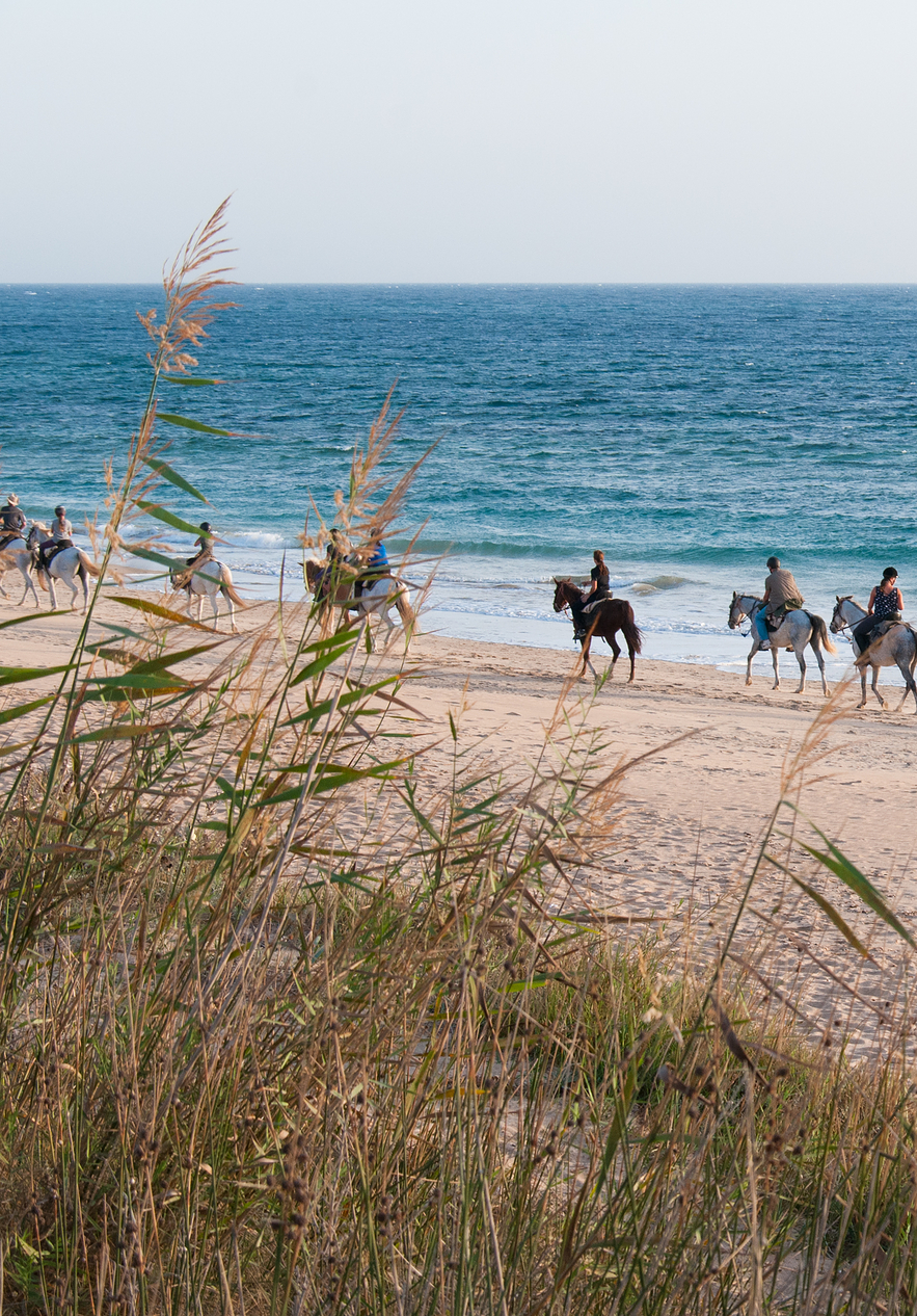 Group of people horseback riding by the sea on the beaches of Tróia and Comporta
