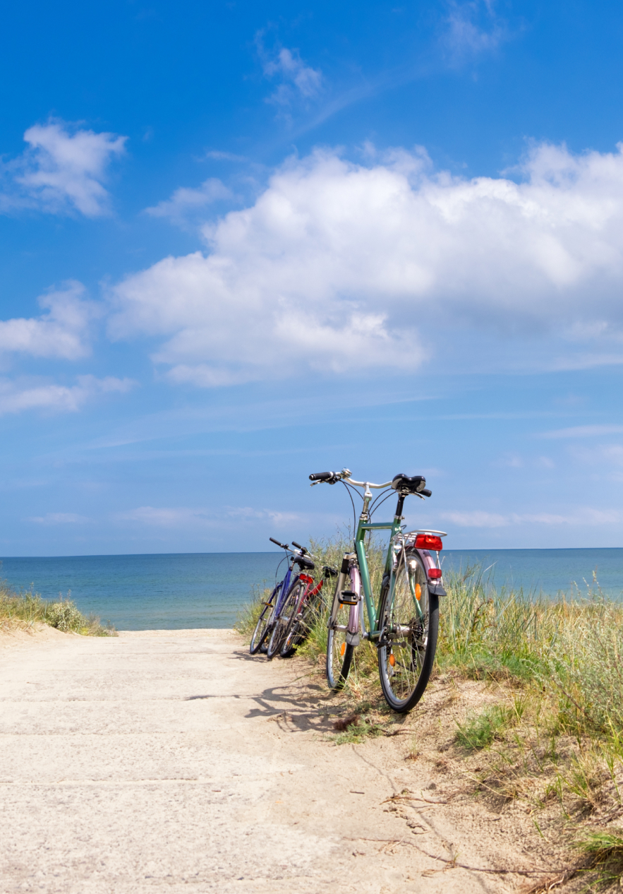 Two bicycles parked by the road next to the beach after a long bike ride
