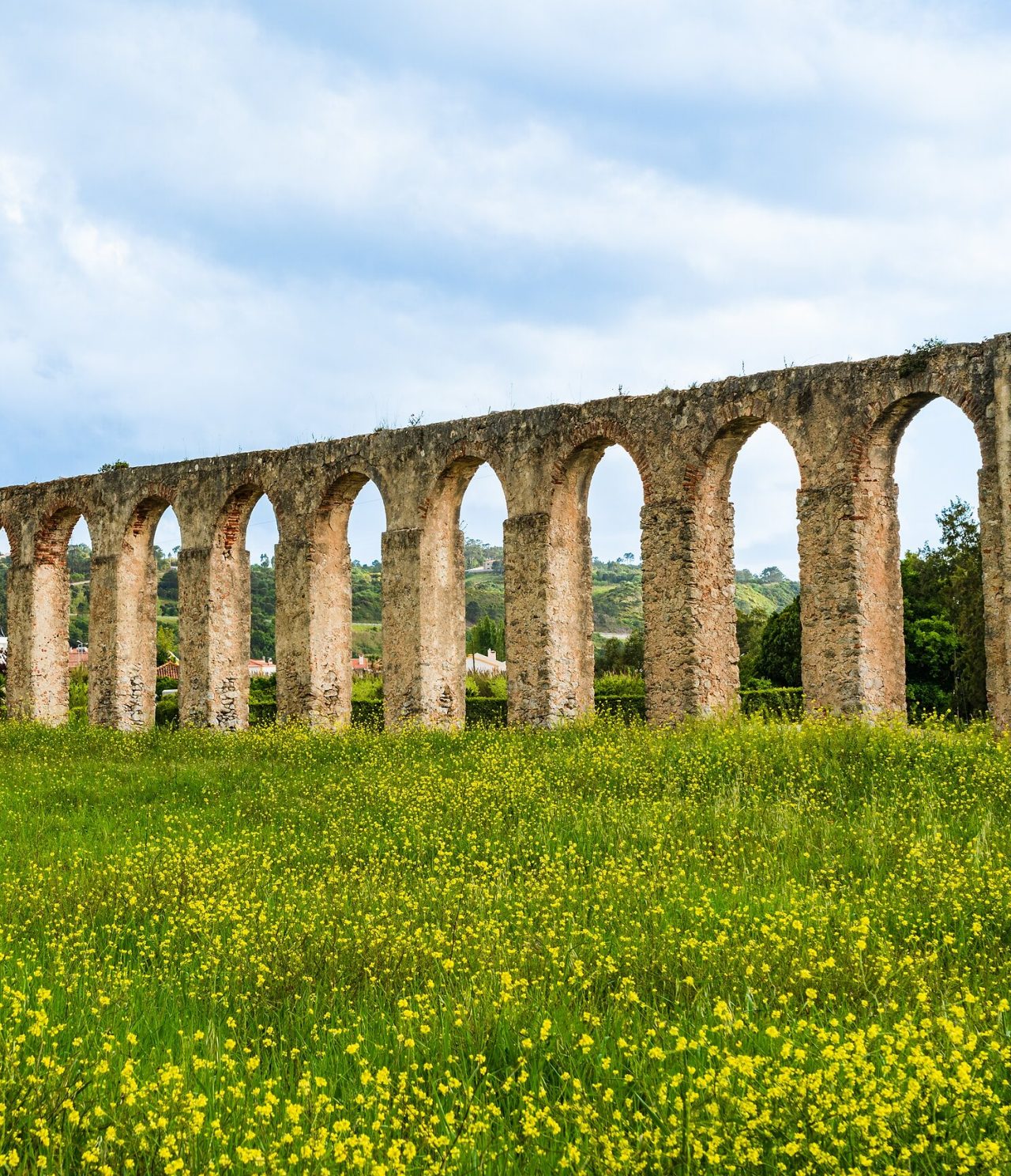 Explore Hotels in Central Portugal featuring a historic stone aqueduct rising above yellow wildflower fields