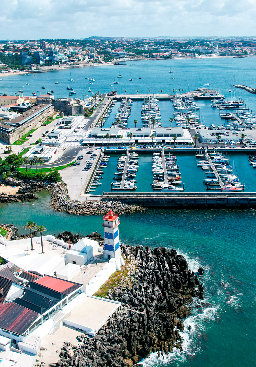 Cascais marina filled with anchored boats with masts rising against the blue sky