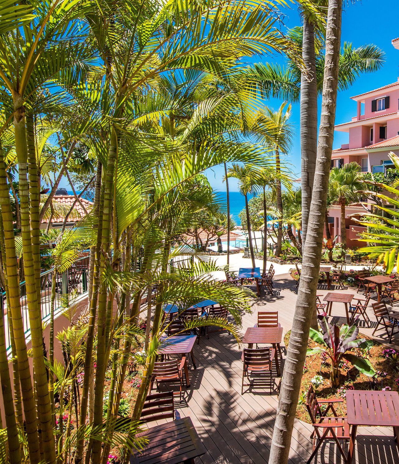 The Botanic Terrace restaurant, at the 5-Star Hotel in Funchal, has an outdoor space with palm trees and tables and chairs