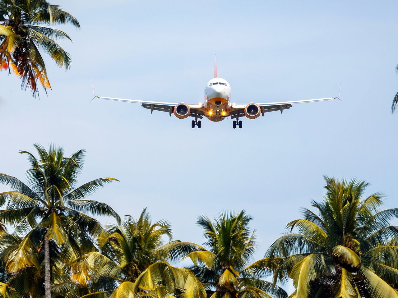 Commercial plane preparing to land on the runway