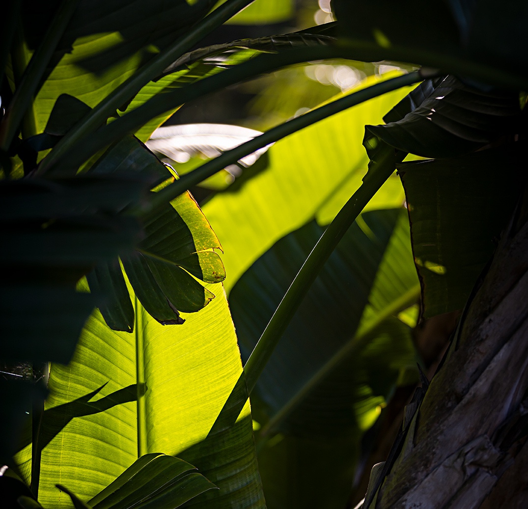 Sustentabilidade