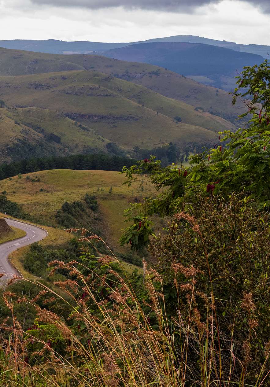 Three Rondavels son tres montañas que parecen cabañas tradicionales africanas, cubiertas de vegetación verde