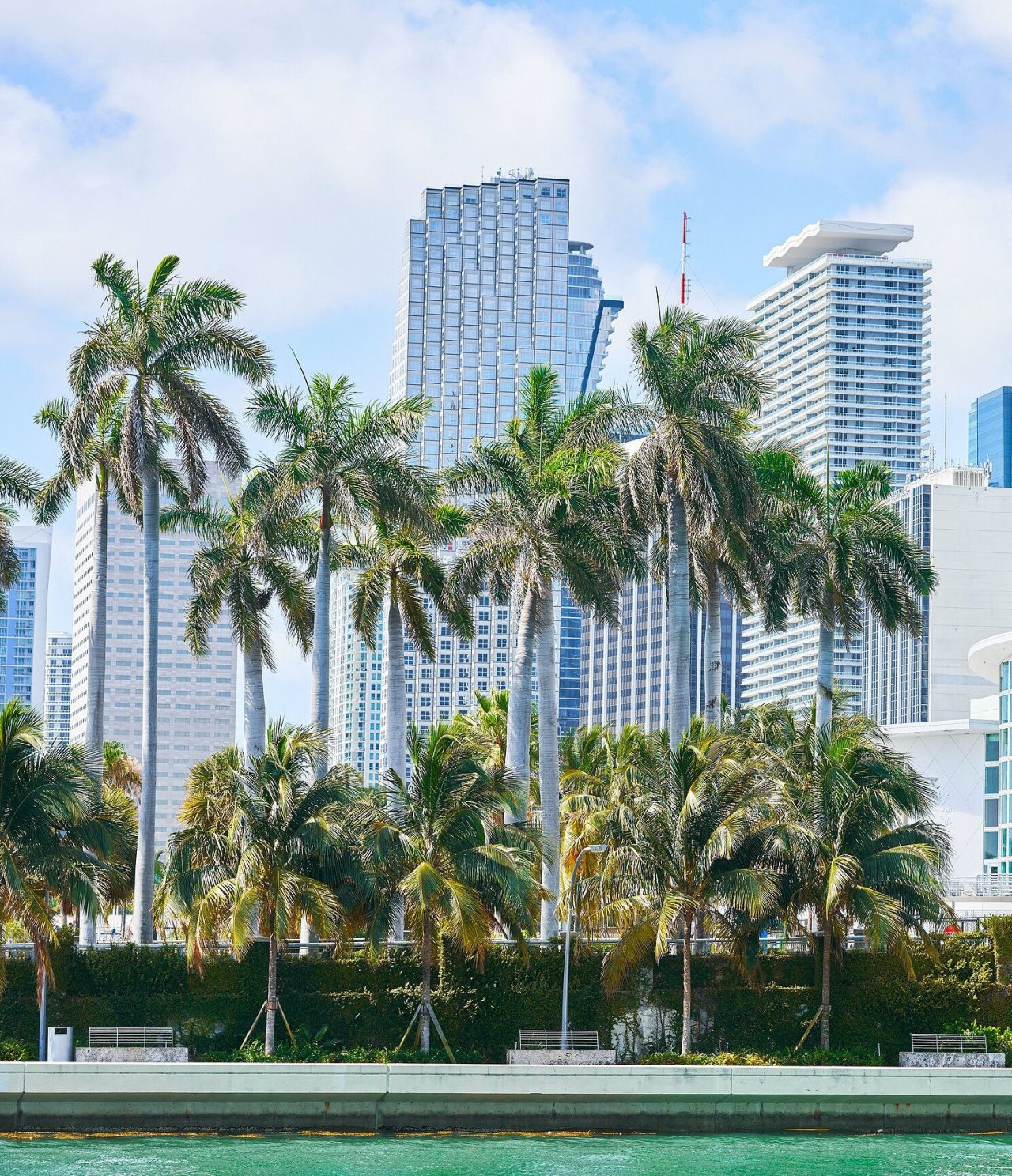 Vista sobre el mar de los rascacielos de Miami y las palmeras características de la ciudad