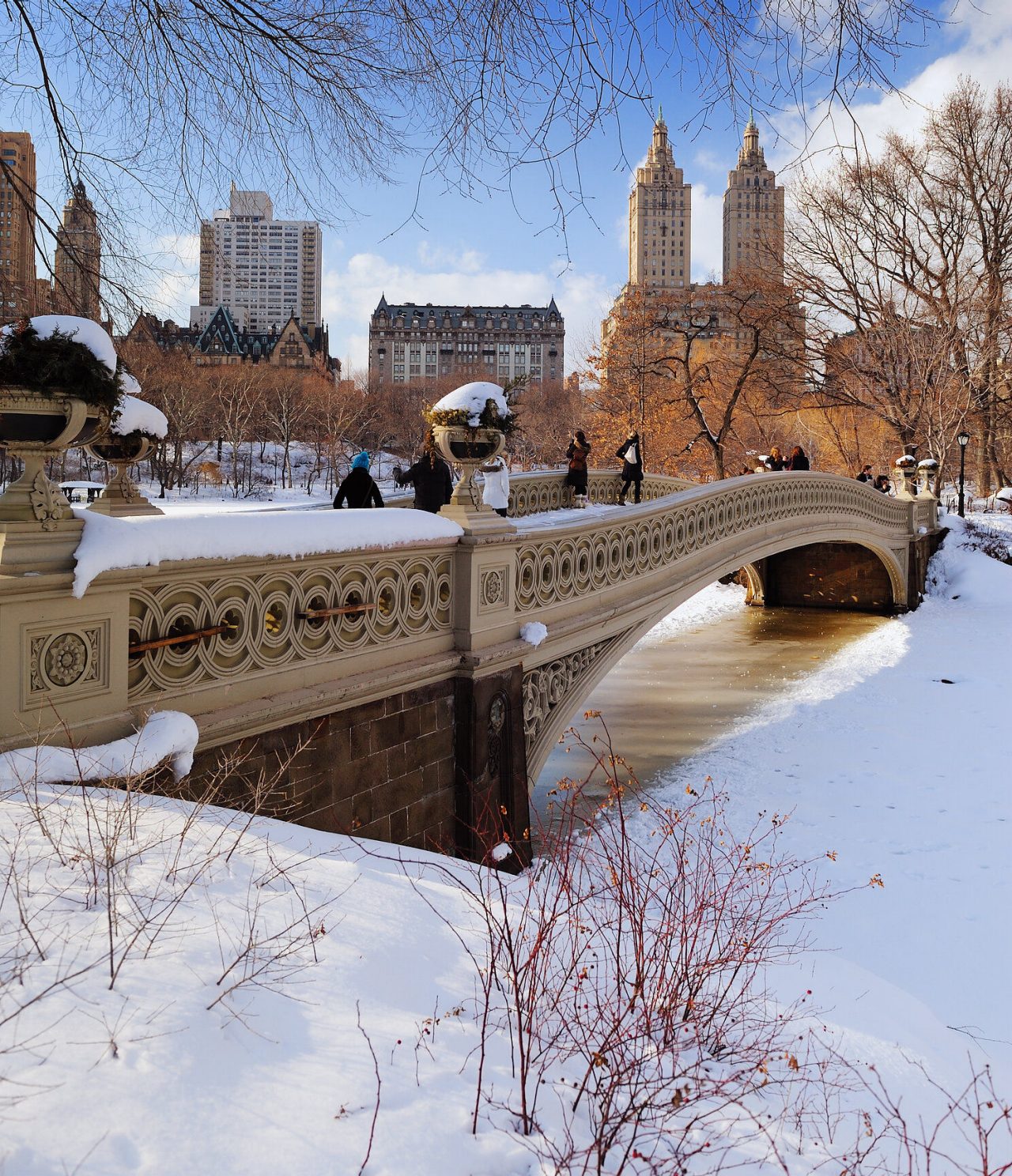 Puente en un parque de Nueva York cubierto de una capa de nieve, con un lago congelado debajo y edificios de fondo