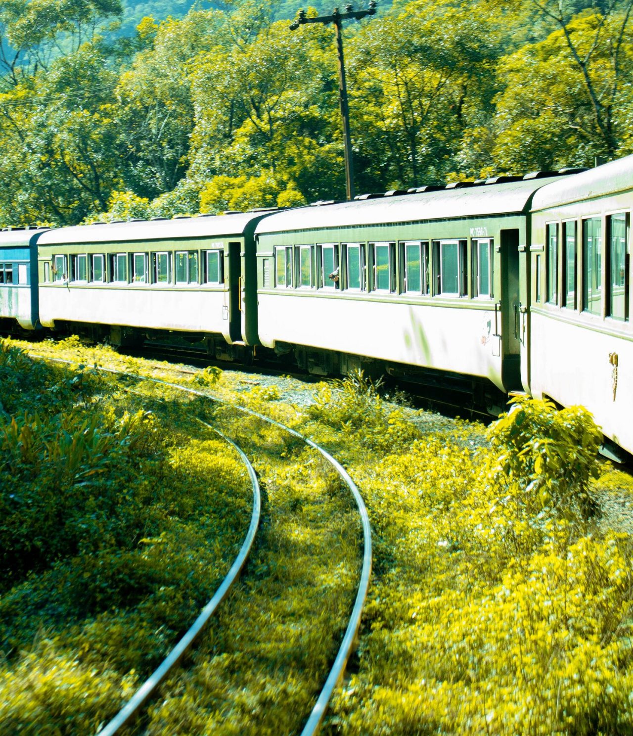 Viajar en tren por Curitiba ofrece vistas panorámicas impresionantes, especialmente en el famoso Serra Verde Express