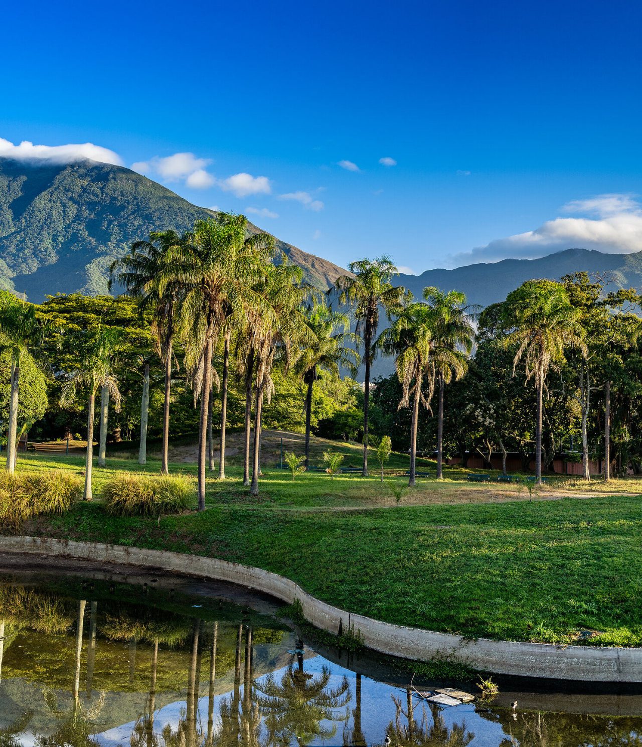 Grandes montañas verdes con nubes en la cima al fondo, rodeadas de palmeras y un lago en Caracas