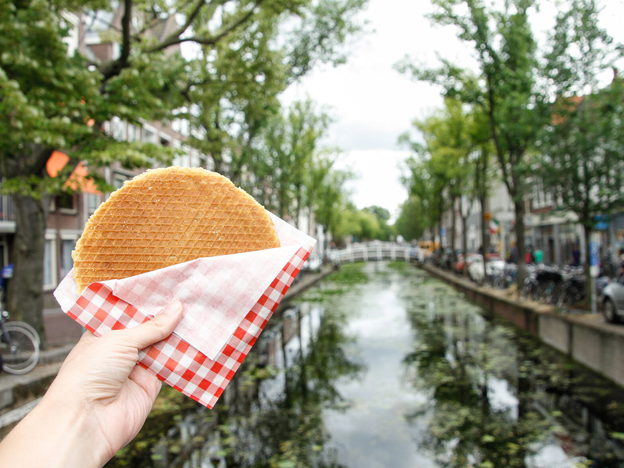 Explora Hoteles en Ámsterdam con vistas a una galleta stroopwafel frente a un canal arbolado de la ciudad