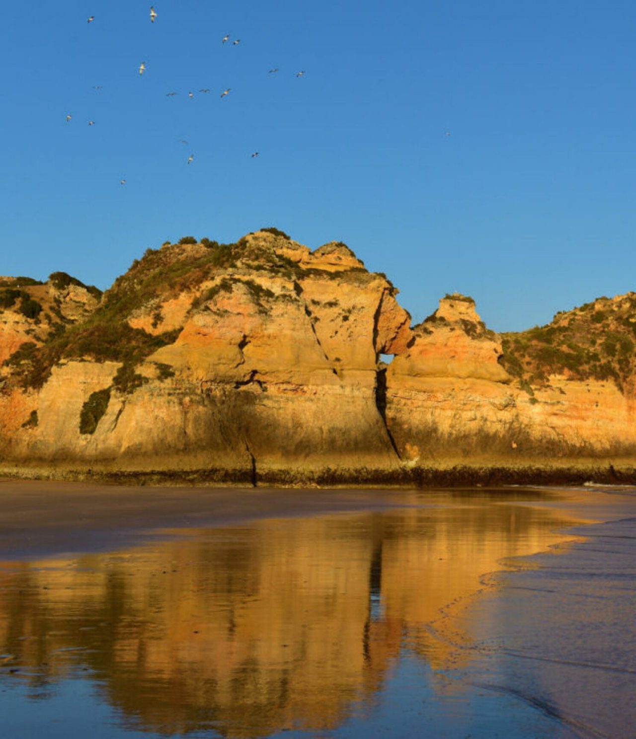 Explora Hoteles en Alvor, Algarve con vistas a acantilados dorados reflejados en la orilla al atardecer