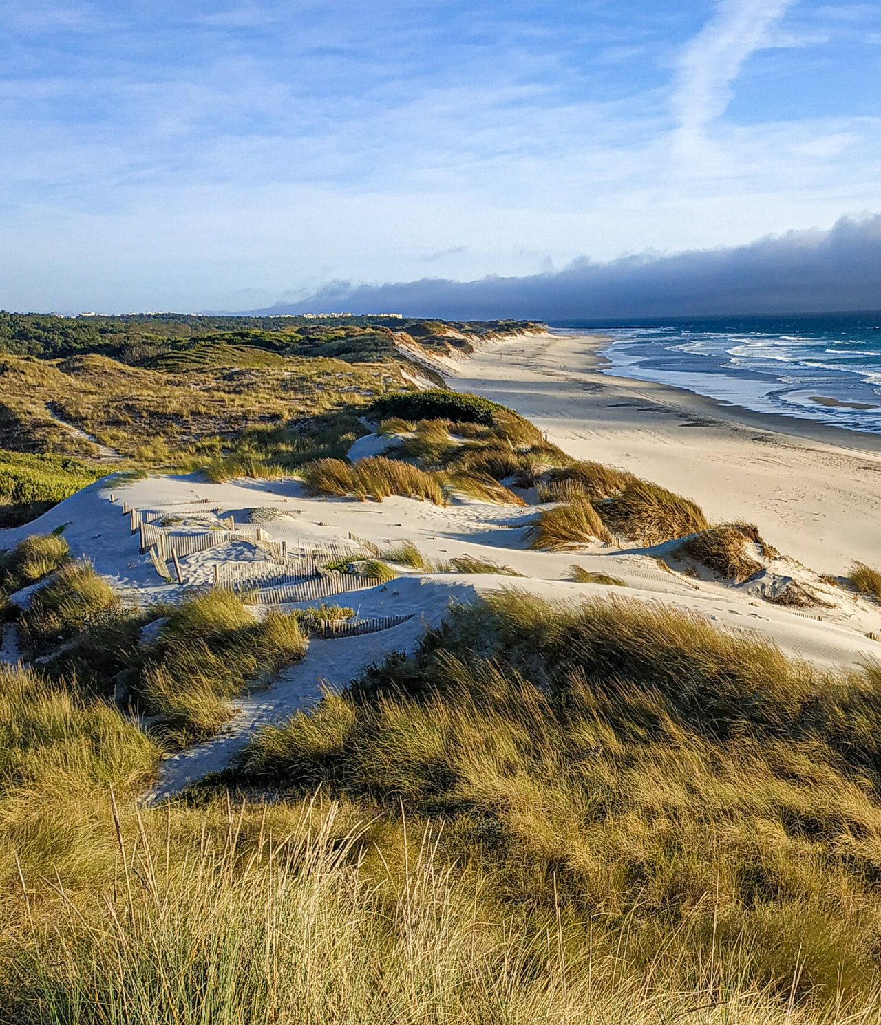 Playa extensa de arena blanca, con dunas cubiertas de vegetación, y un horizonte marítimo infinito
