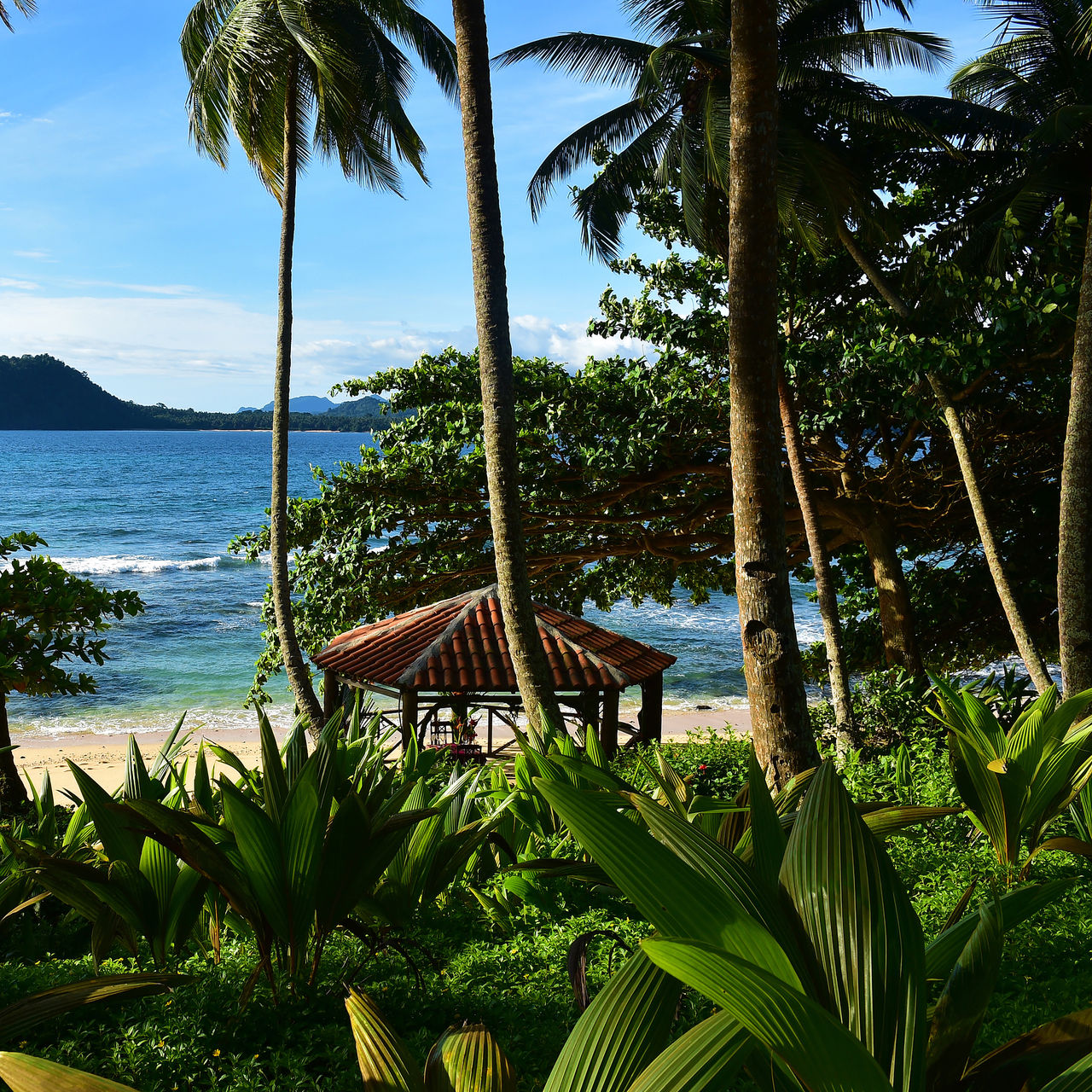 Vue du Pestana Équateur Ilheu das Rolas sur la plage, avec palmiers, eau cristalline et montagnes