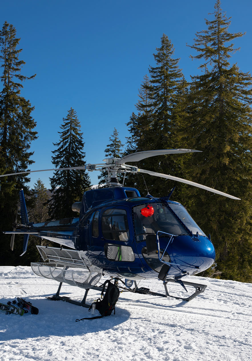 colocar alt text aqui