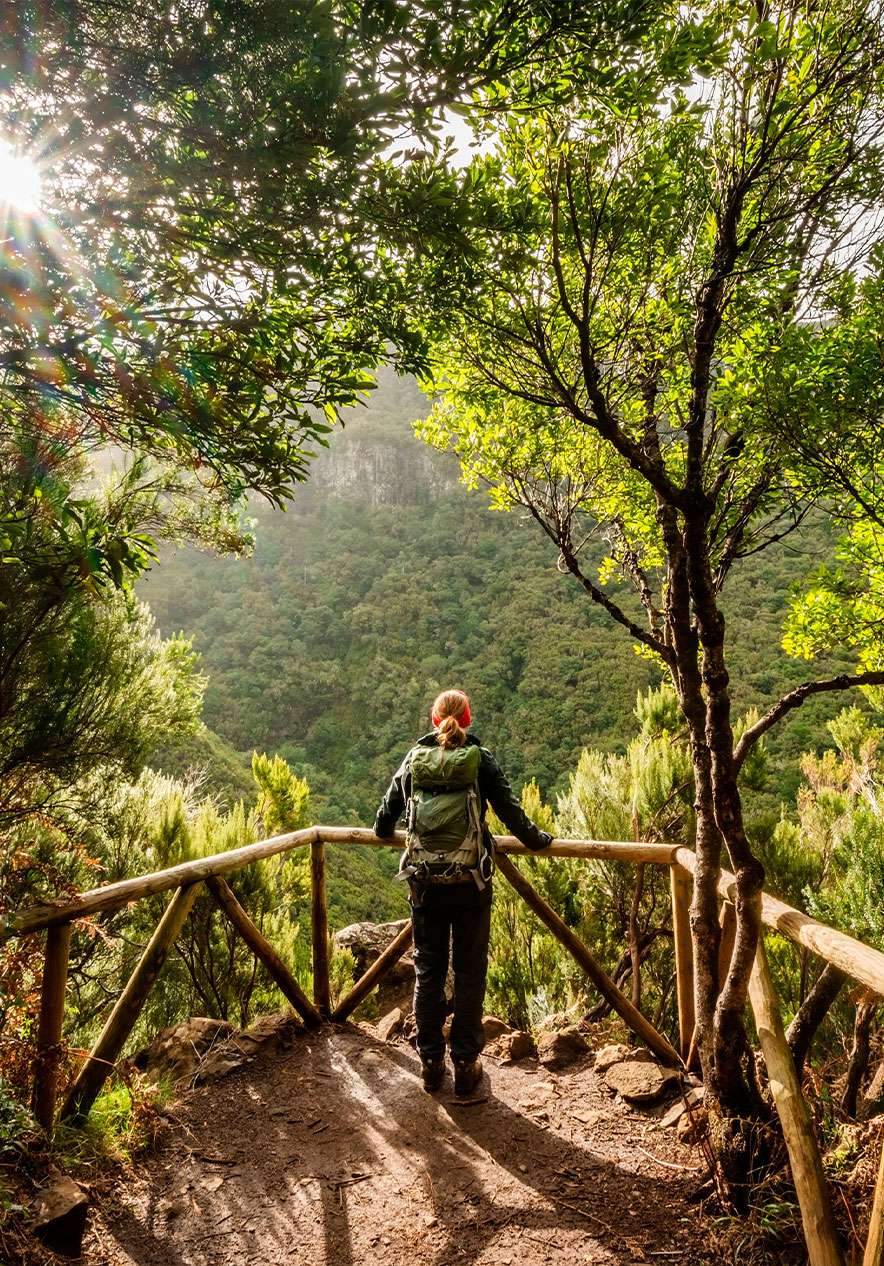 Femme regardant par une clairière dans la nature, près d'une clôture en bois, portant un sac à dos