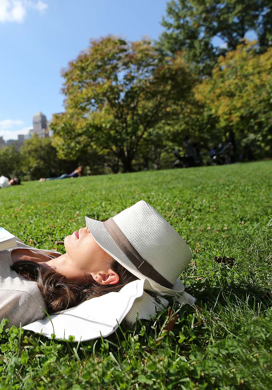 Vue panoramique de Central Park, avec l'horizon de Manhattan, des gens se reposant sur l'herbe du parc