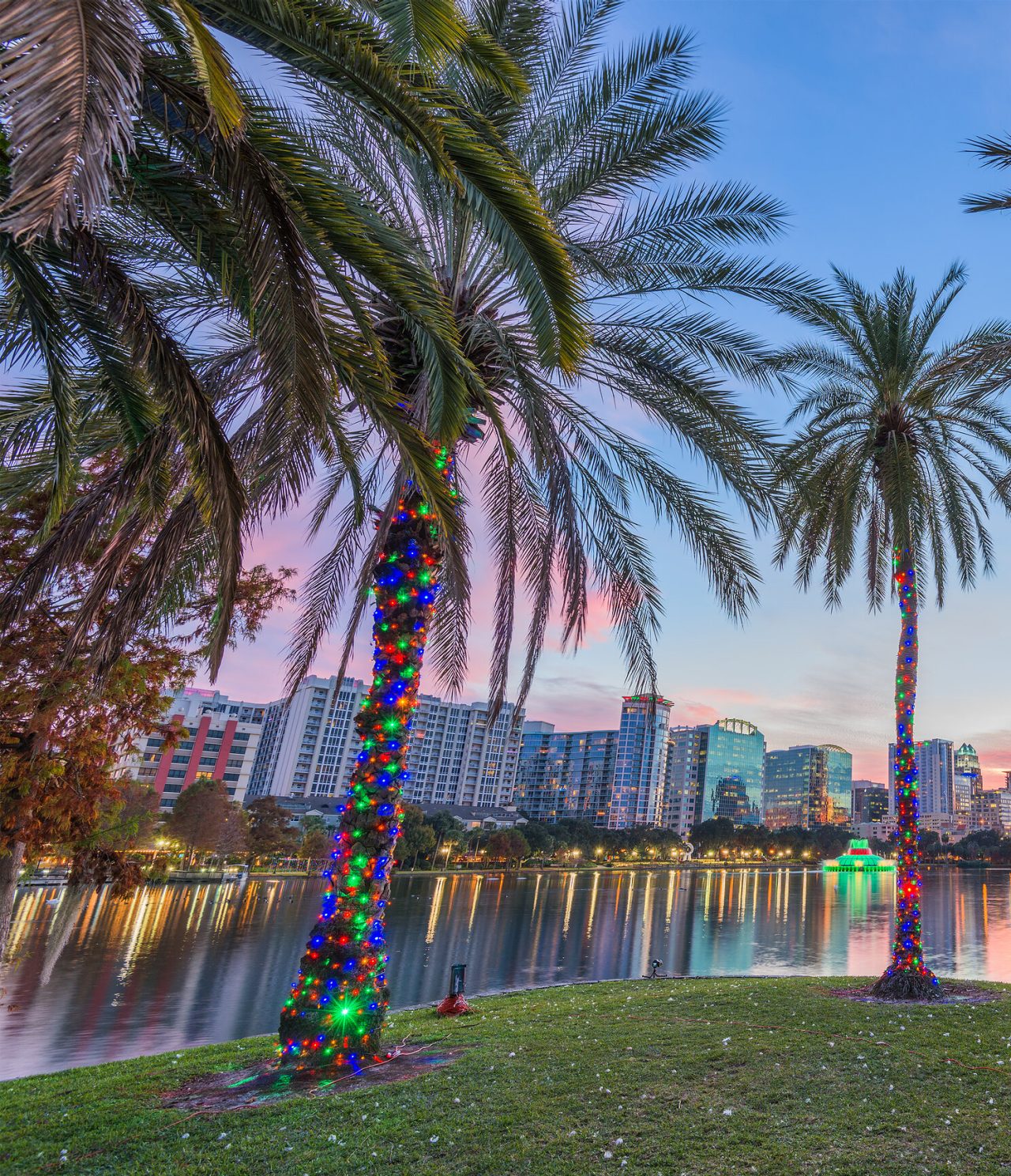 Lac avec des palmiers entourés de lumières brillantes, créant un paysage urbain magique et festif