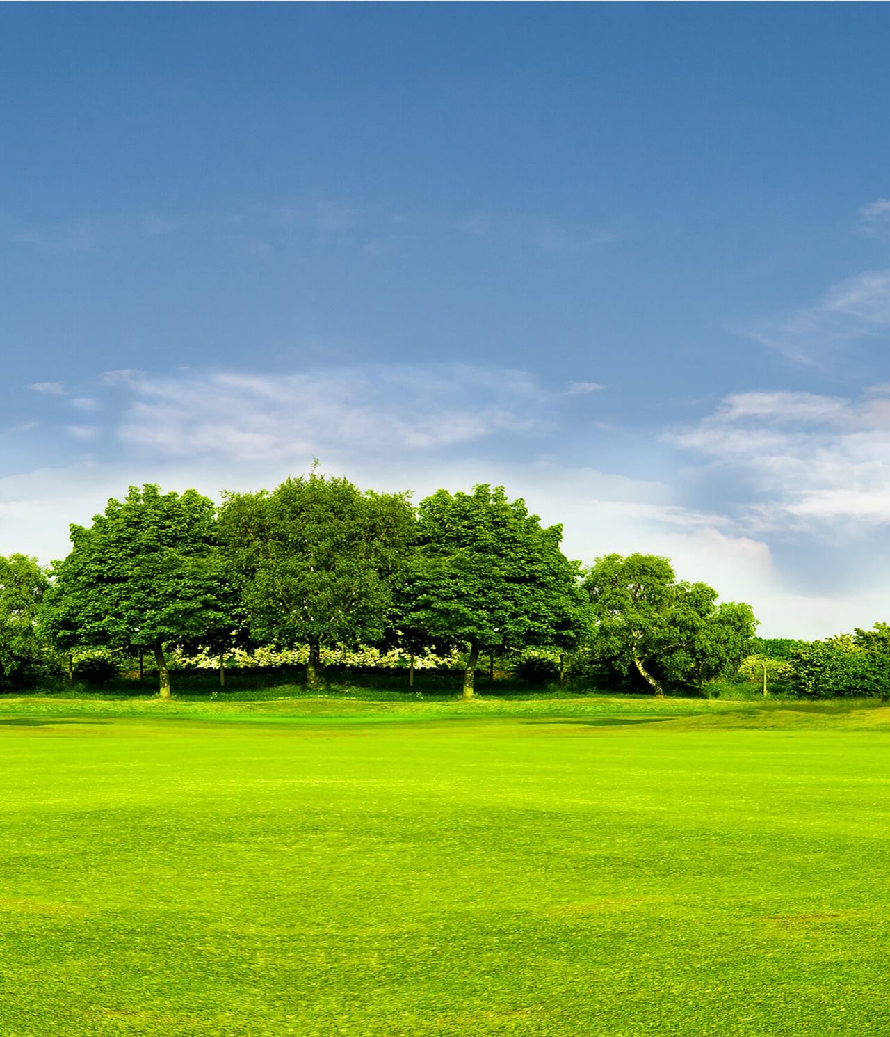 Large champ vert entouré de grands arbres sous un ciel bleu avec quelques nuages, à Buenos Aires
