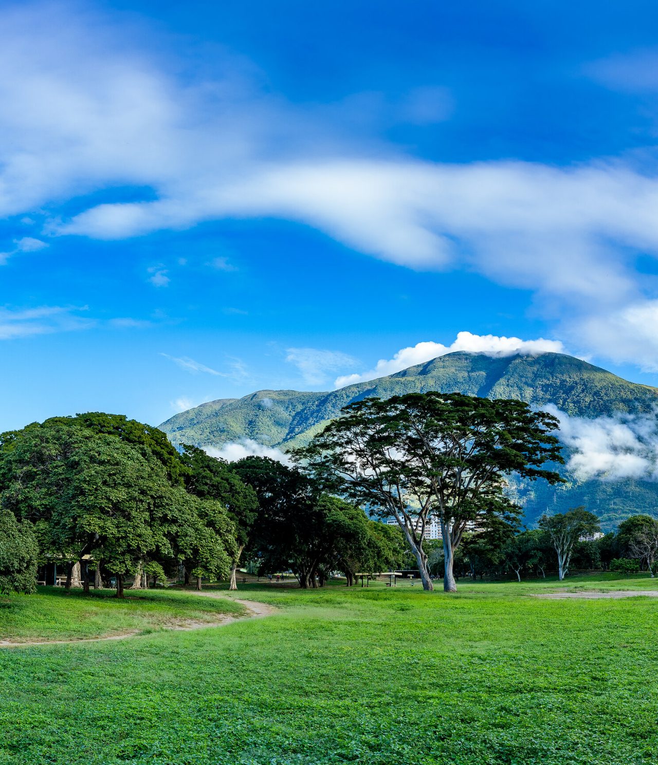 Large paysage naturel avec une imposante montagne en arrière-plan, couverte de nuages et un ciel bleu à Caracas