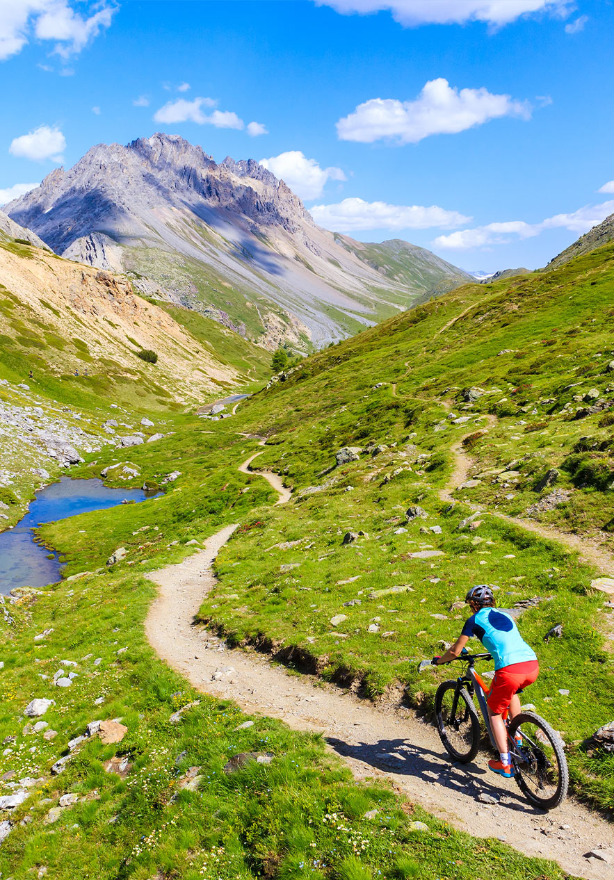 colocar alt text aqui