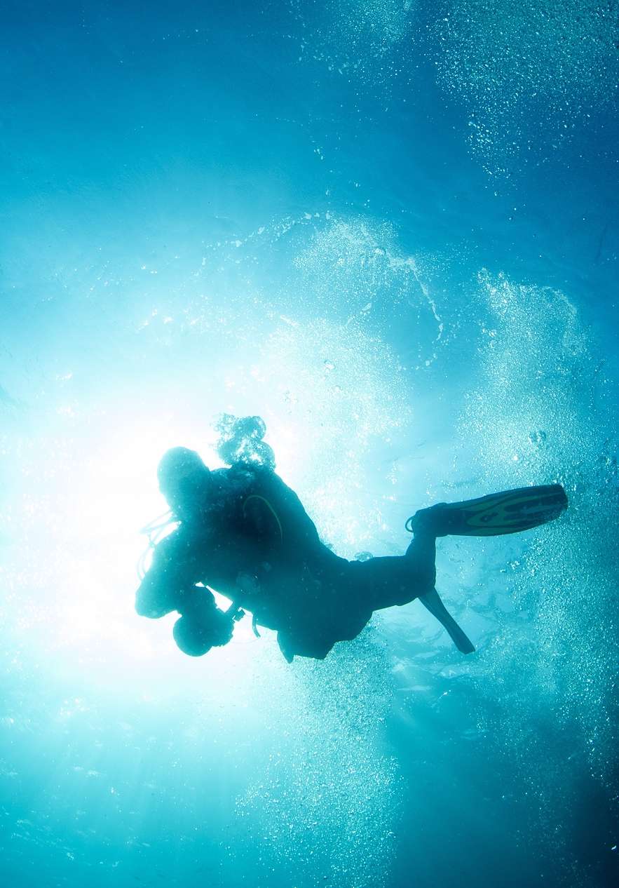 In het Ocean Revival Park heb je de mogelijkheid om te duiken in vier schepen en ze te verkennen