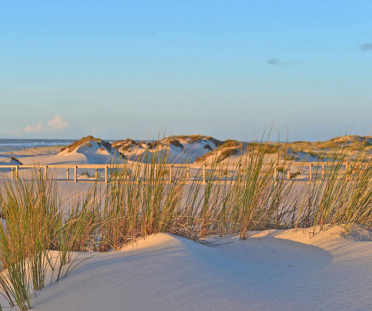 center-portugal hotel met uitzicht op witte zandduinen en helmgras langs de kust bij zacht avondlicht
