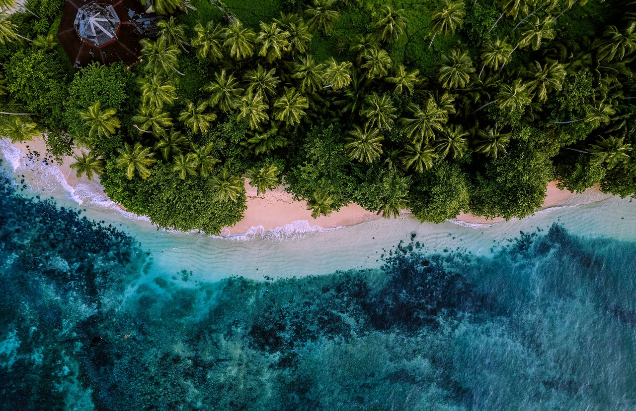 Ilha tropical de São Tomé com uma praia de areia clara, águas cristalinas e uma exuberante vegetação de Palmeiras