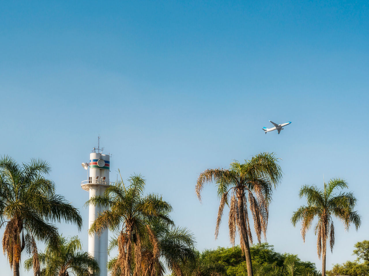 Avião comercial a descolar do aeroporto de Buenos Aires, com uma torre de controlo em primeiro plano e palmeiras