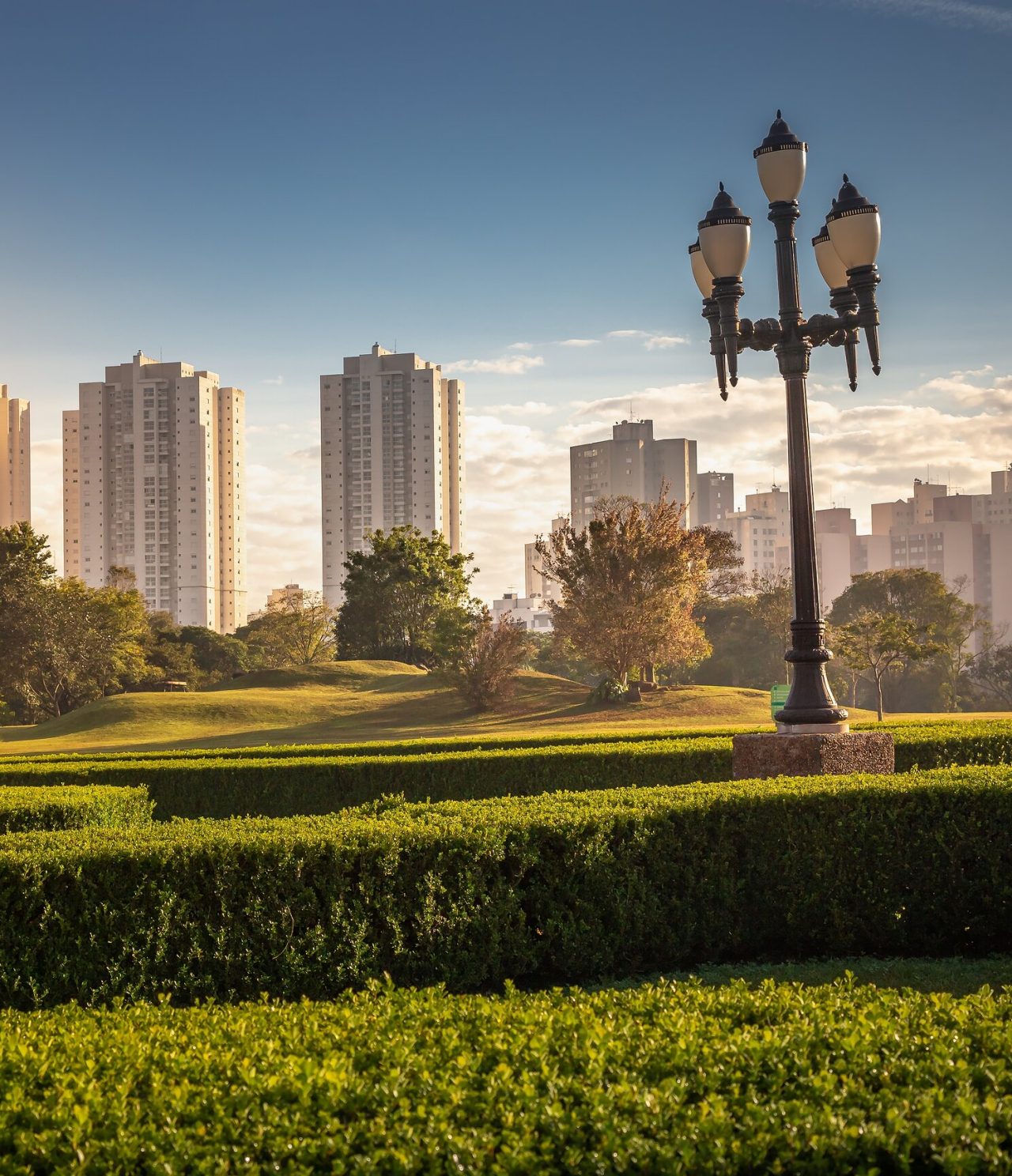 Espaços verdes grandes e imponentes contrastando com a arquitetura urbana moderna de Curitiba