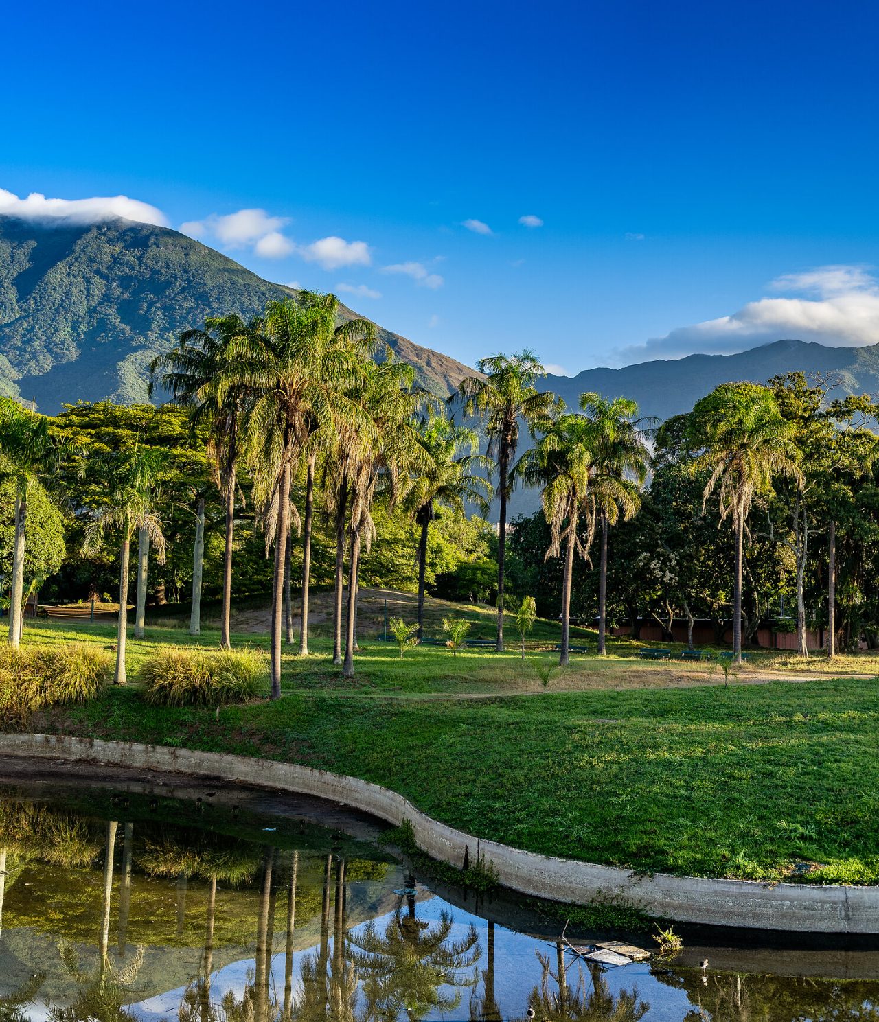 Montanhas grandes e verdes com nuvens no topo ao fundo, rodeada por palmeiras e um lago em Caracas