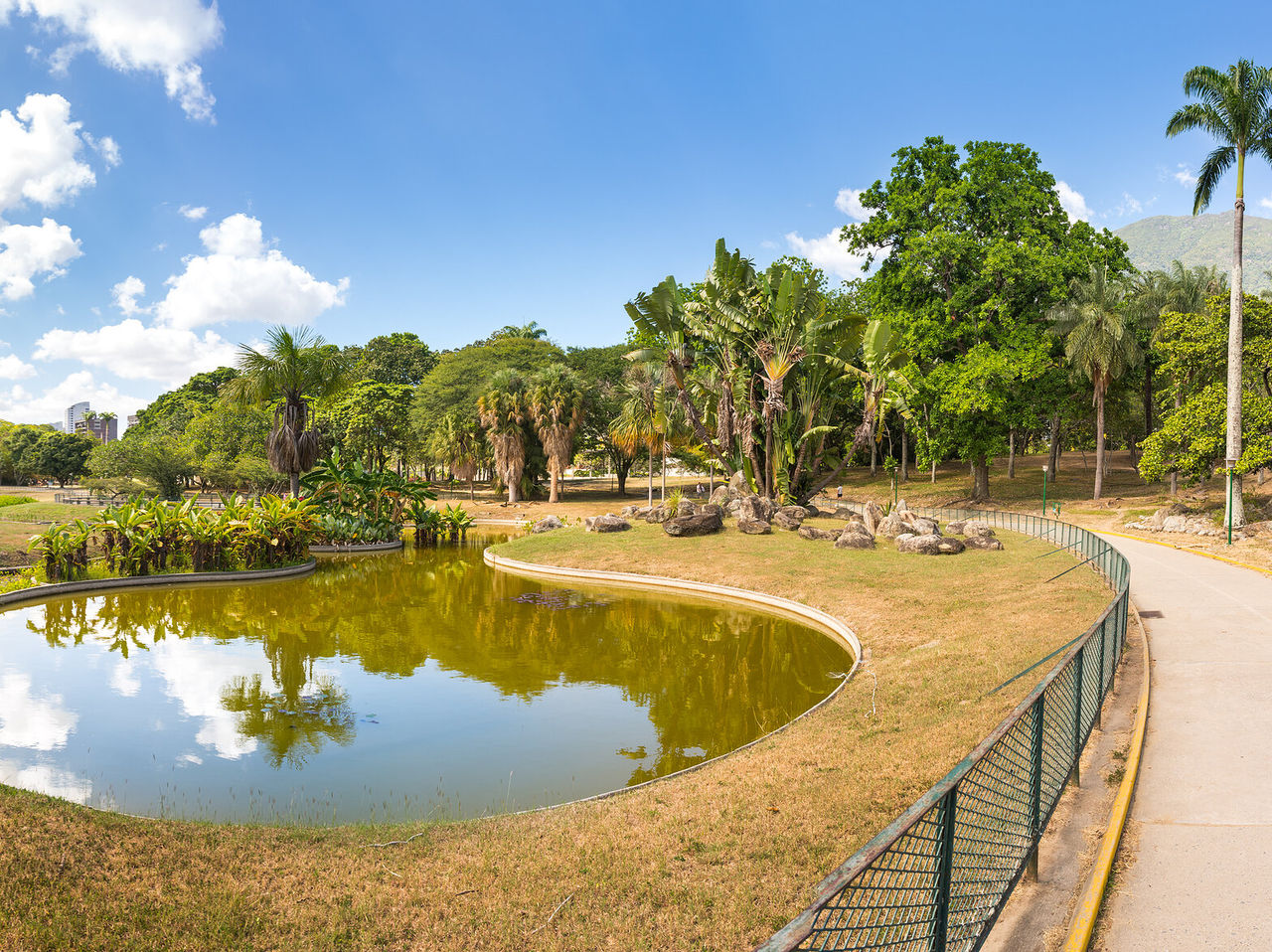 Explore Hotéis em Caracas com vista para lago curvo, palmeiras altas e caminho rodeado por árvores verdes
