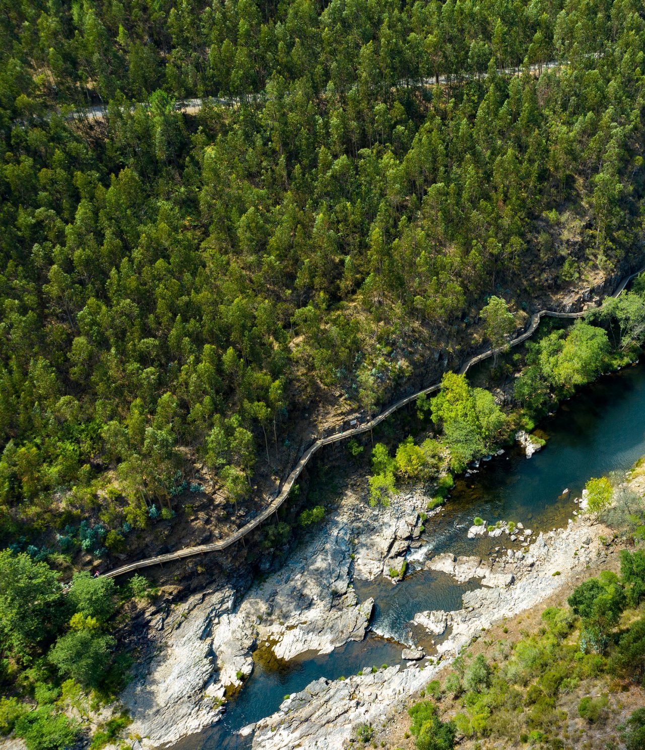 Explore Hotéis no Centro de Portugal com uma vista aérea de passadiços junto ao rio entre floresta verde