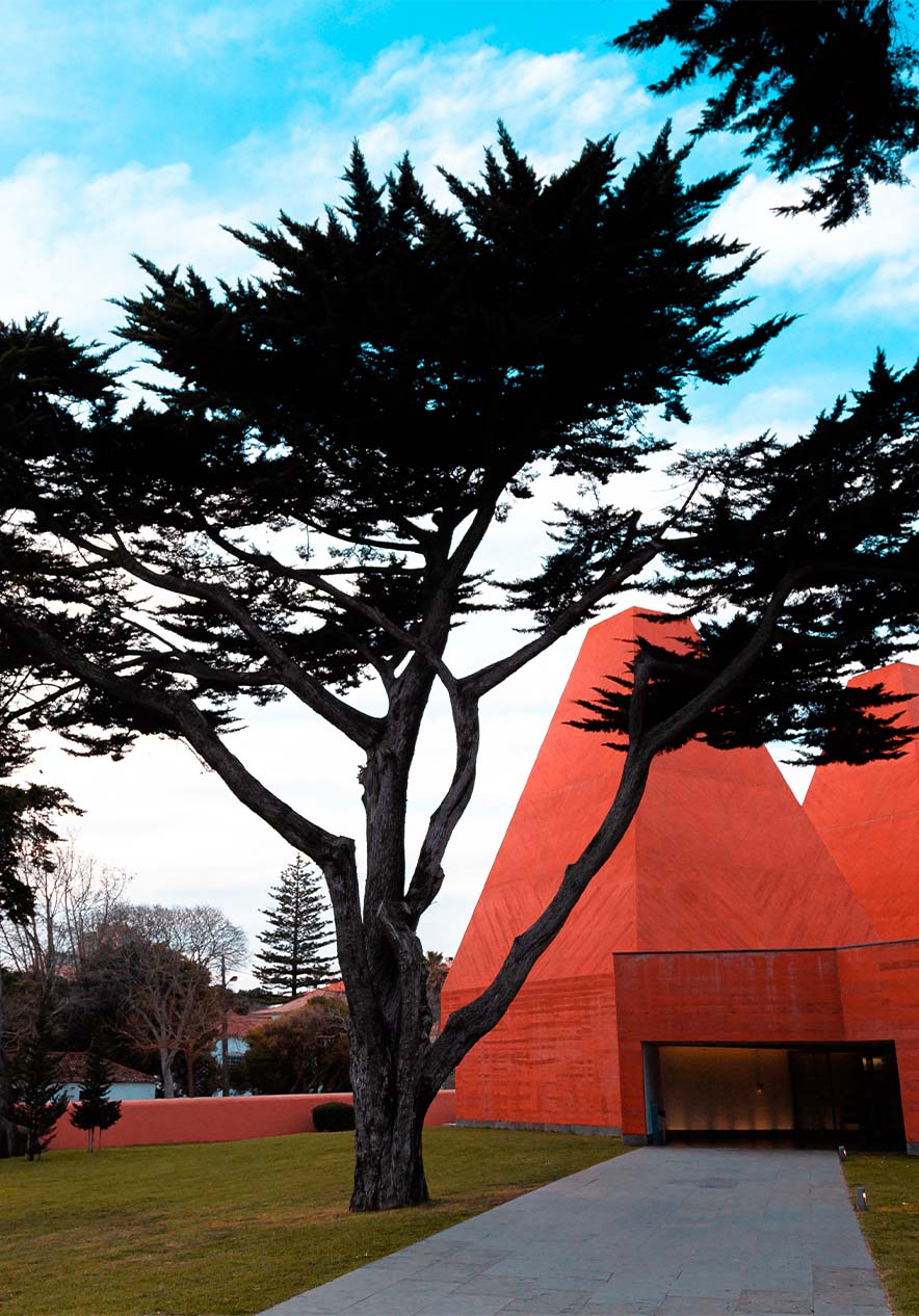 Casa das Histórias, um espaço dedicado à obra da artista Paula Rego onde arquitetura moderna se funde com arte contemporânea