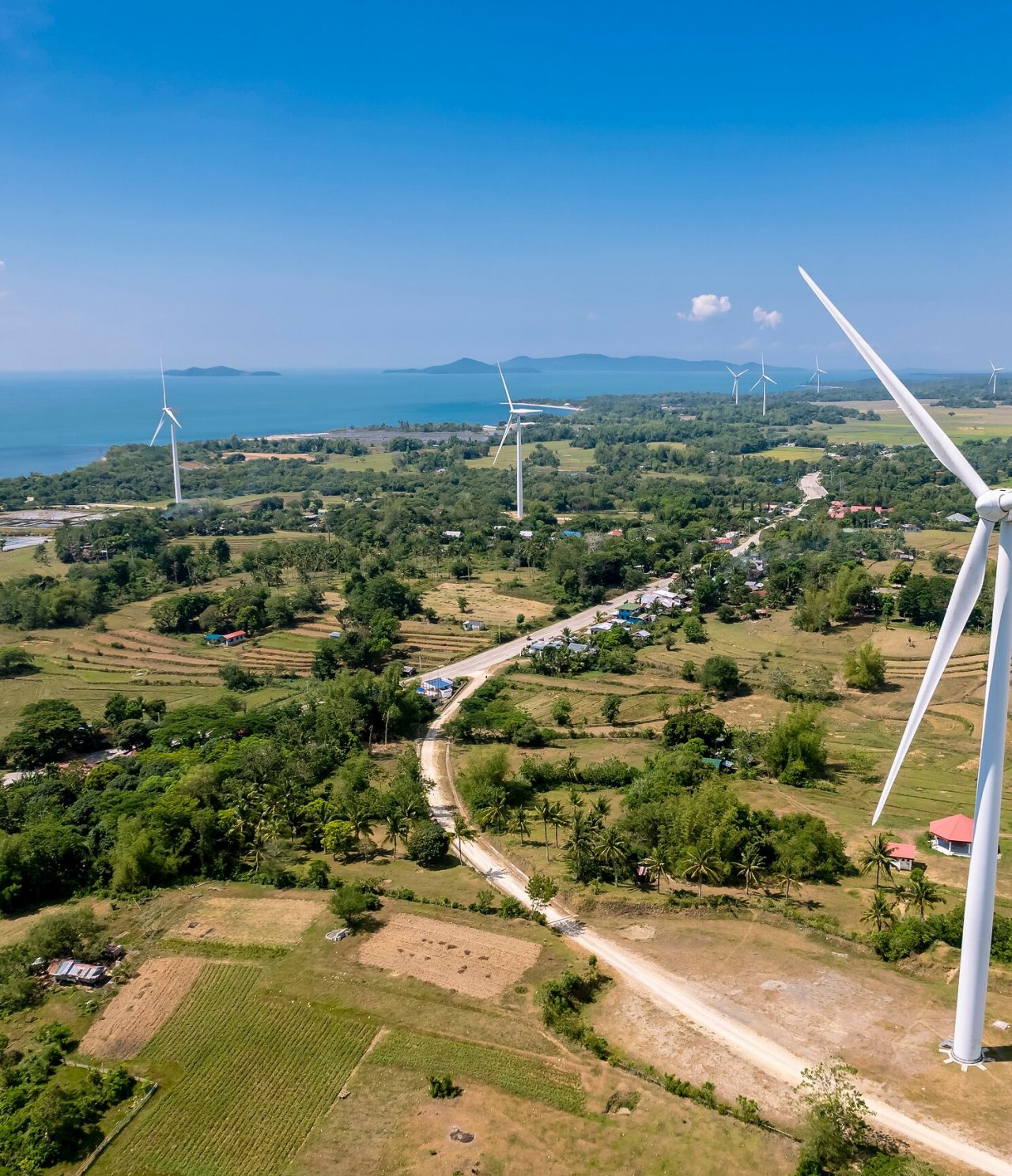 Vista aérea de várias turbinas eólicas, no meio de vegetação, com uma estrada pelo meio, e o mar ao fundo