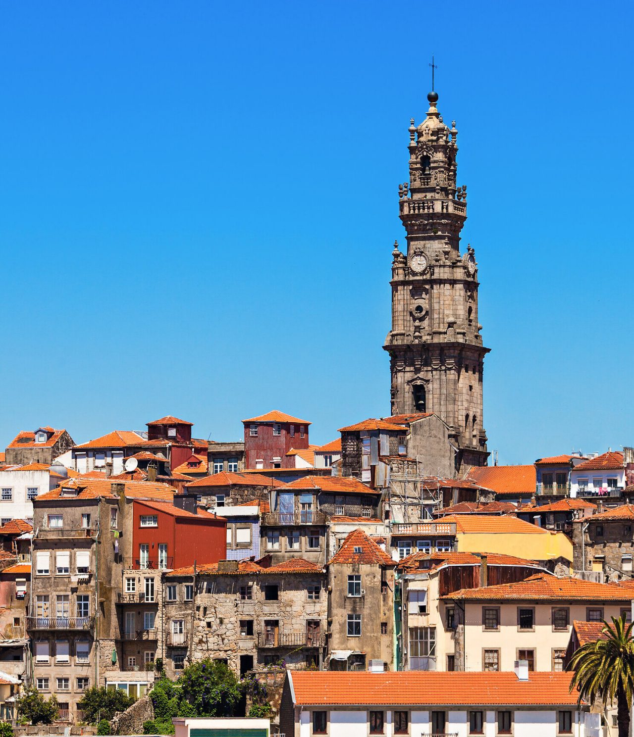 Vista da cidade do Porto, com destaque para a torre dos Clérigos, rodeada por edifícios antigos