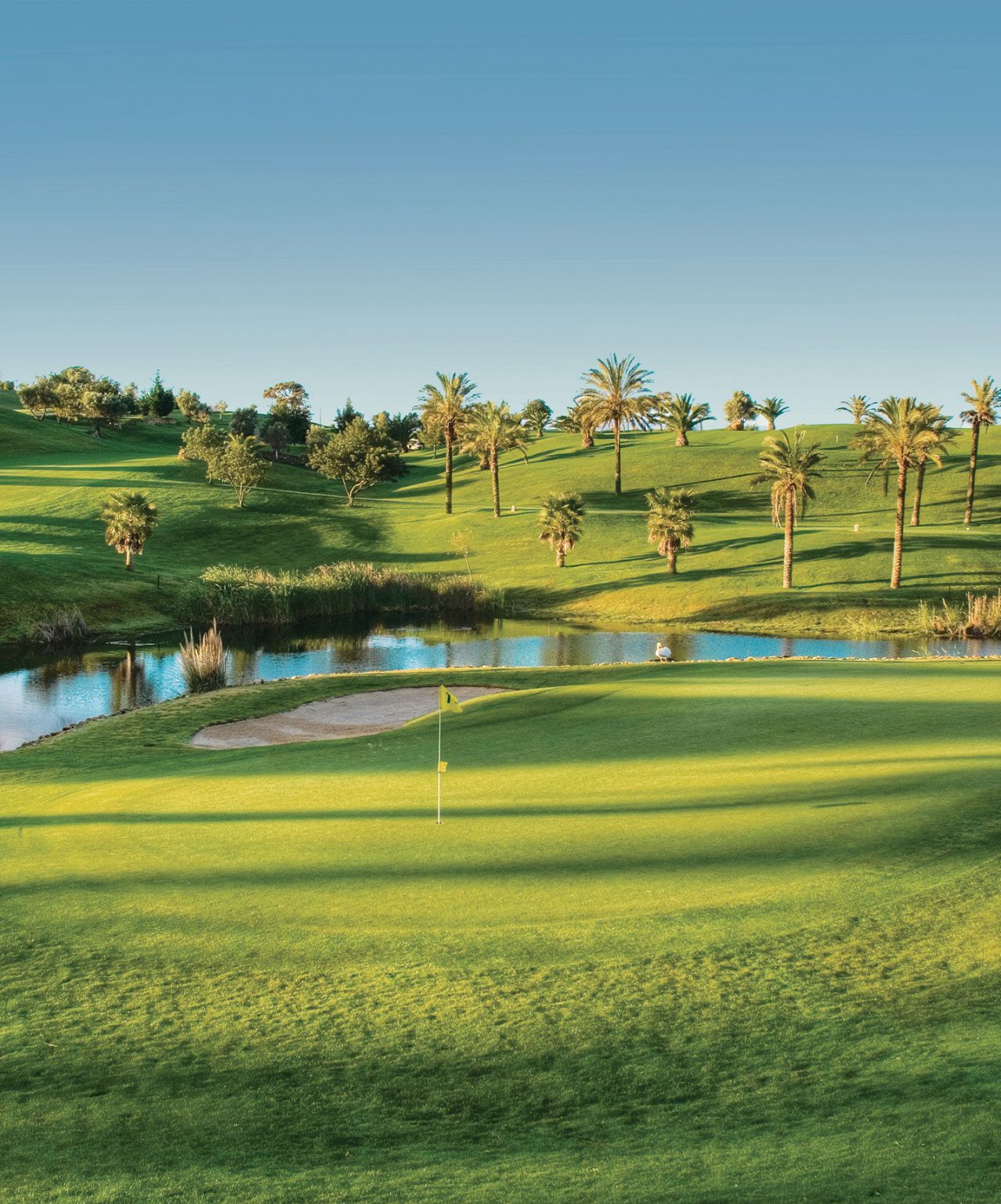 O Pestana Carvoeiro, da marca Pestana Residences, está localizado junto aos campos de golfe de Gramacho e Vale da Pinta