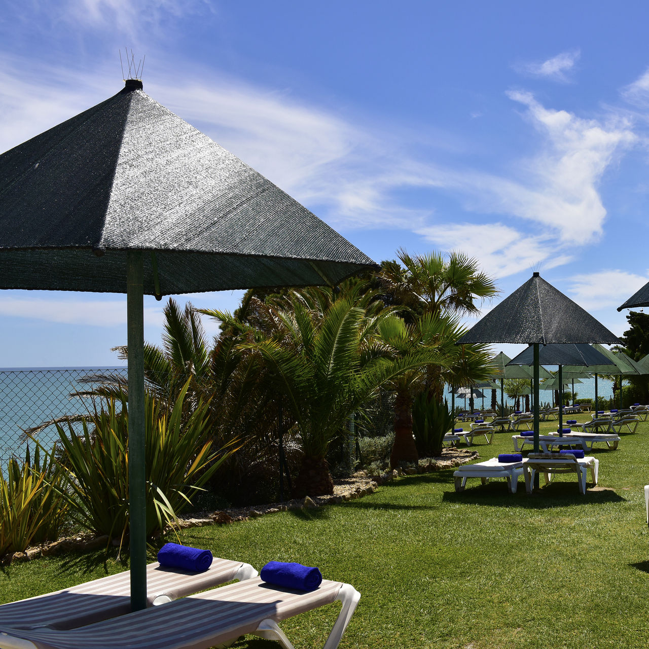 Outdoor space of the hotel with direct beach access, featuring grass and loungers with sunshades and towels