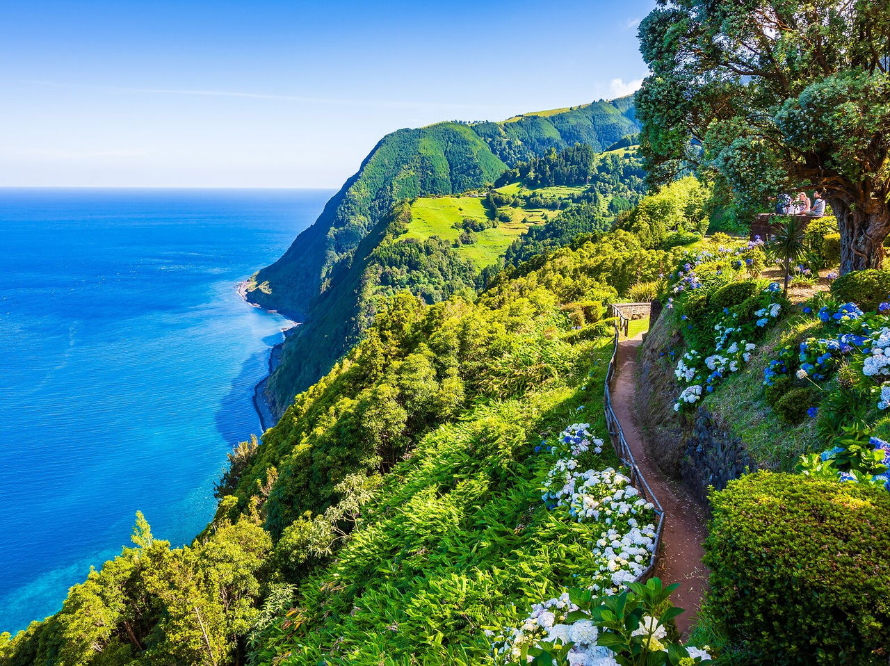 Green hill with hydrangeas in front of the Atlantic Ocean, with crystal-clear waters and a clear blue sky